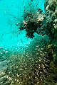 630_Oceania_Best_of_by_Ponant