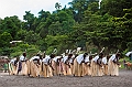 665_Oceania_Best_of_by_Ponant