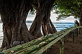 676_Oceania_Best_of_by_Ponant