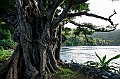 677_Oceania_Best_of_by_Ponant