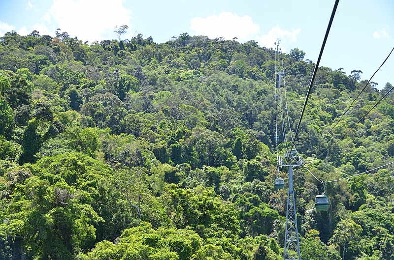 039_Australia_Queensland_Skyrail_Rainforest_Cableway.JPG