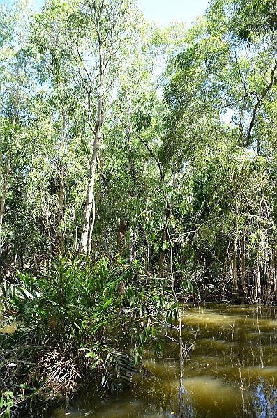073_Australia_Queensland_Hartleys_Crocodile_Adventure.JPG