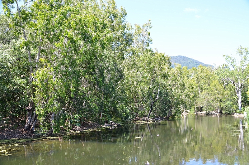 103_Australia_Queensland_Hartleys_Crocodile_Adventure.JPG
