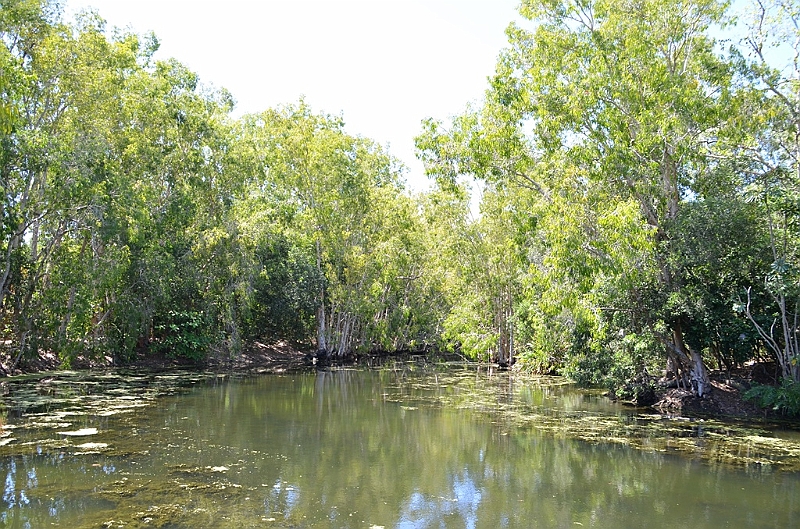 104_Australia_Queensland_Hartleys_Crocodile_Adventure.JPG