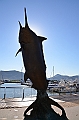 014_Australia_Cairns