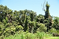 024_Australia_Queensland_Barron_Gorge_NP