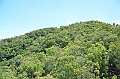 037_Australia_Queensland_Skyrail_Rainforest_Cableway