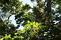 045_Australia_Queensland_Skyrail_Rainforest_Cableway