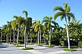 062_Australia_Cairns