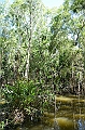 073_Australia_Queensland_Hartleys_Crocodile_Adventure