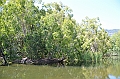 088_Australia_Queensland_Hartleys_Crocodile_Adventure