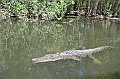 092_Australia_Queensland_Hartleys_Crocodile_Adventure