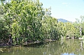 103_Australia_Queensland_Hartleys_Crocodile_Adventure