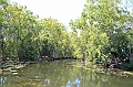 104_Australia_Queensland_Hartleys_Crocodile_Adventure