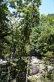 112_Australia_Queensland_Mossman_Gorge