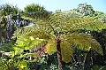 128_Australia_Cairns_Botanic_Gardens