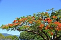 129_Australia_Cairns