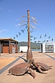 137_Australia_Cairns