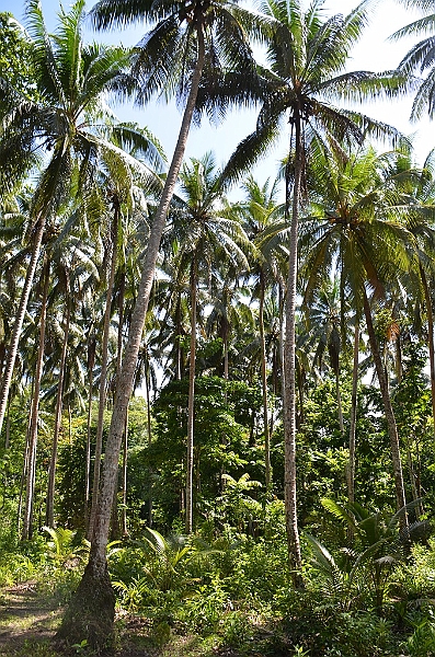 032_Solomon_Islands_Roderick_Bay.JPG