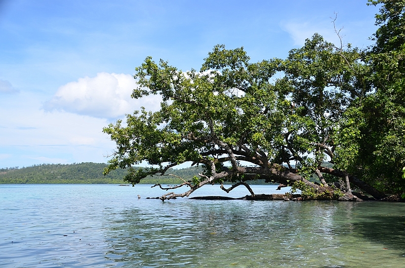 035_Solomon_Islands_Roderick_Bay.JPG