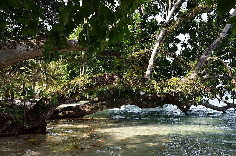057_Solomon_Islands_Roderick_Bay.JPG