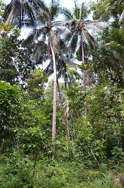 068_Solomon_Islands_Roderick_Bay.JPG