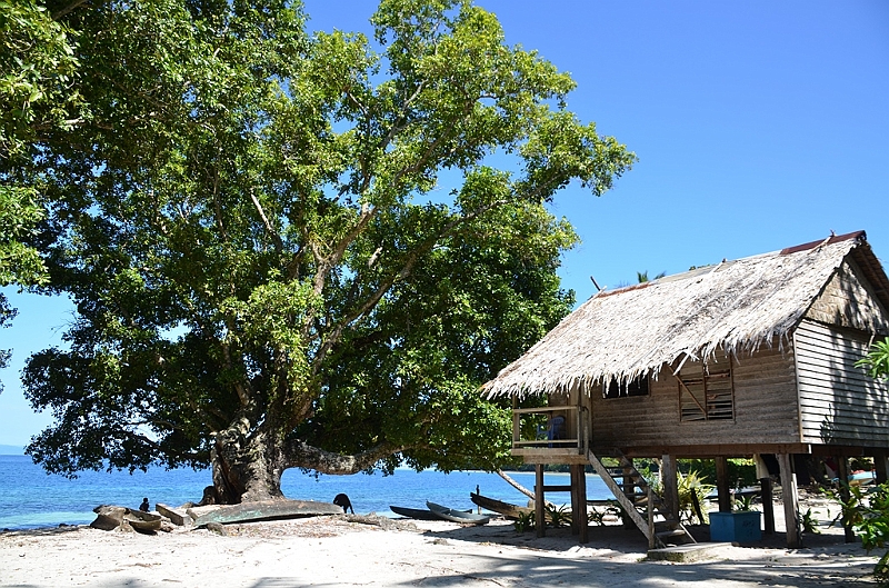 099_Solomon_Islands_Santa_Ana.JPG