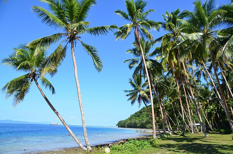 101_Solomon_Islands_Santa_Ana.JPG