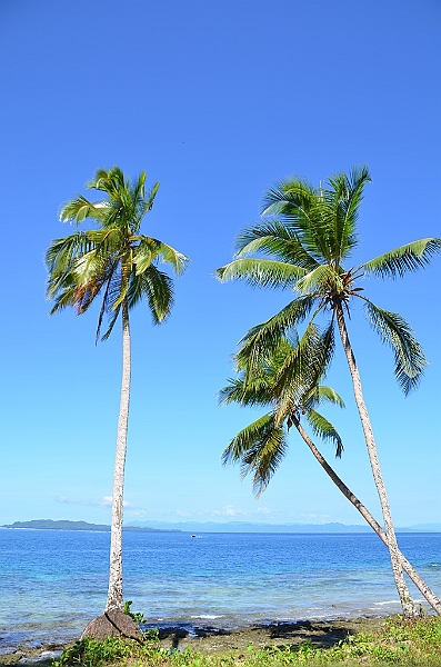 102_Solomon_Islands_Santa_Ana.JPG