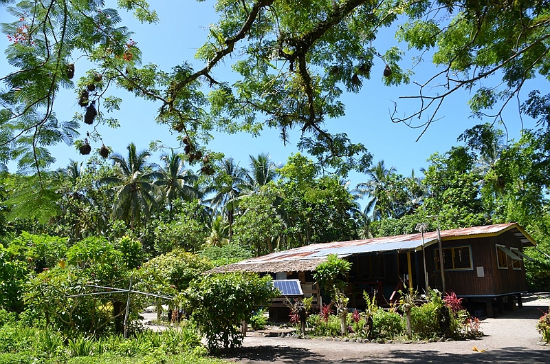 128_Solomon_Islands_Santa_Ana.JPG