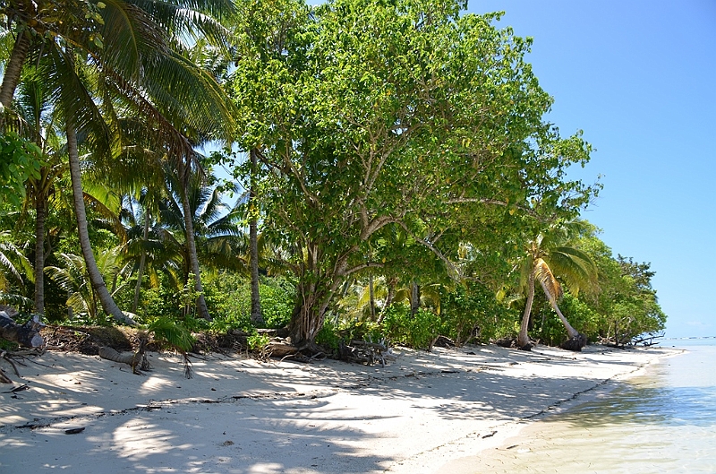 141_Solomon_Islands_Santa_Ana.JPG