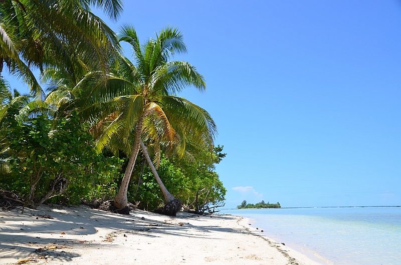 152_Solomon_Islands_Santa_Ana.JPG