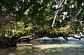 057_Solomon_Islands_Roderick_Bay