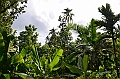 061_Solomon_Islands_Roderick_Bay