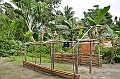 062_Solomon_Islands_Roderick_Bay