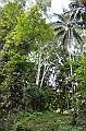 067_Solomon_Islands_Roderick_Bay