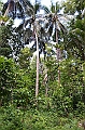 068_Solomon_Islands_Roderick_Bay