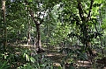 069_Solomon_Islands_Roderick_Bay