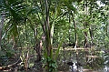 070_Solomon_Islands_Roderick_Bay