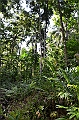 071_Solomon_Islands_Roderick_Bay