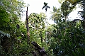 072_Solomon_Islands_Roderick_Bay