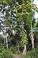 073_Solomon_Islands_Roderick_Bay