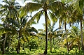 148_Solomon_Islands_Santa_Ana