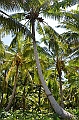 151_Solomon_Islands_Santa_Ana