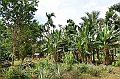 178_Solomon_Islands_Vanikoro