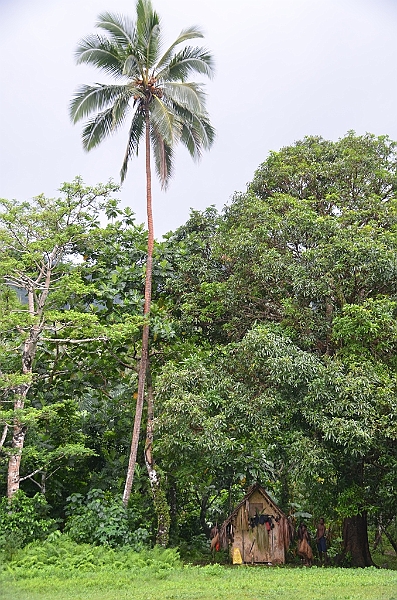 017_Vanuatu_Ureparapara.JPG