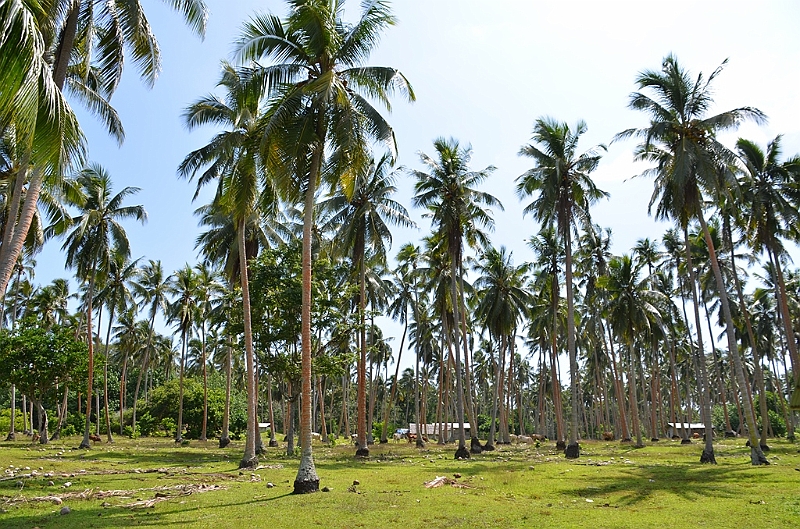 058_Vanuatu_Paradise_Lagoon.JPG