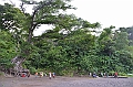 129_Vanuatu_Tanna_Island