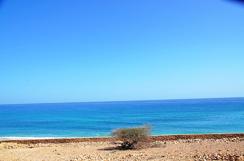 117_Oman.JPG
