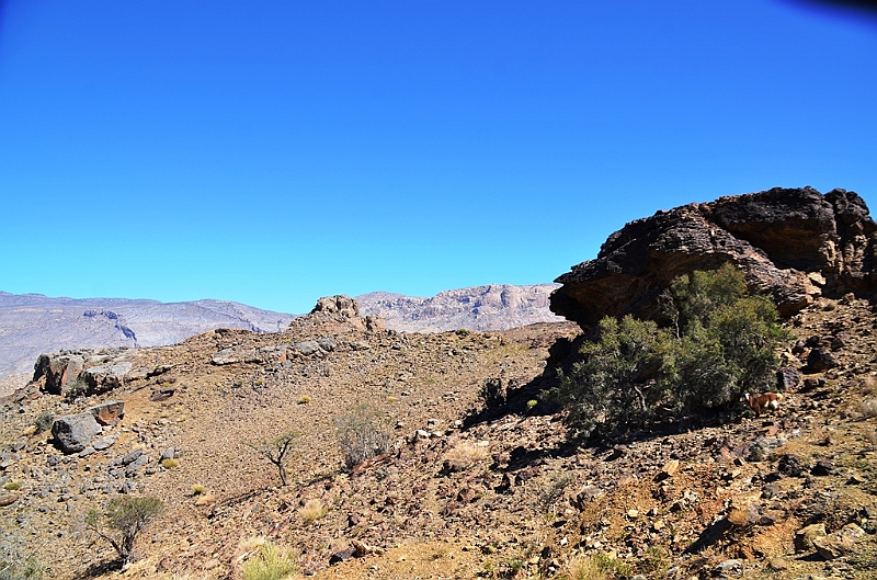 165_Oman_Saiq_Plateau.JPG
